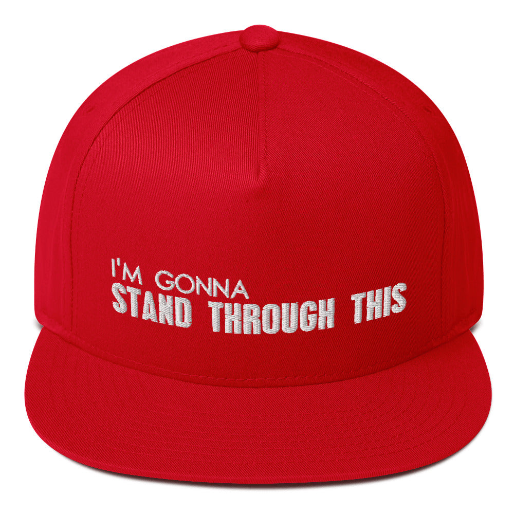 Stand Through This - Flat Bill Snapback